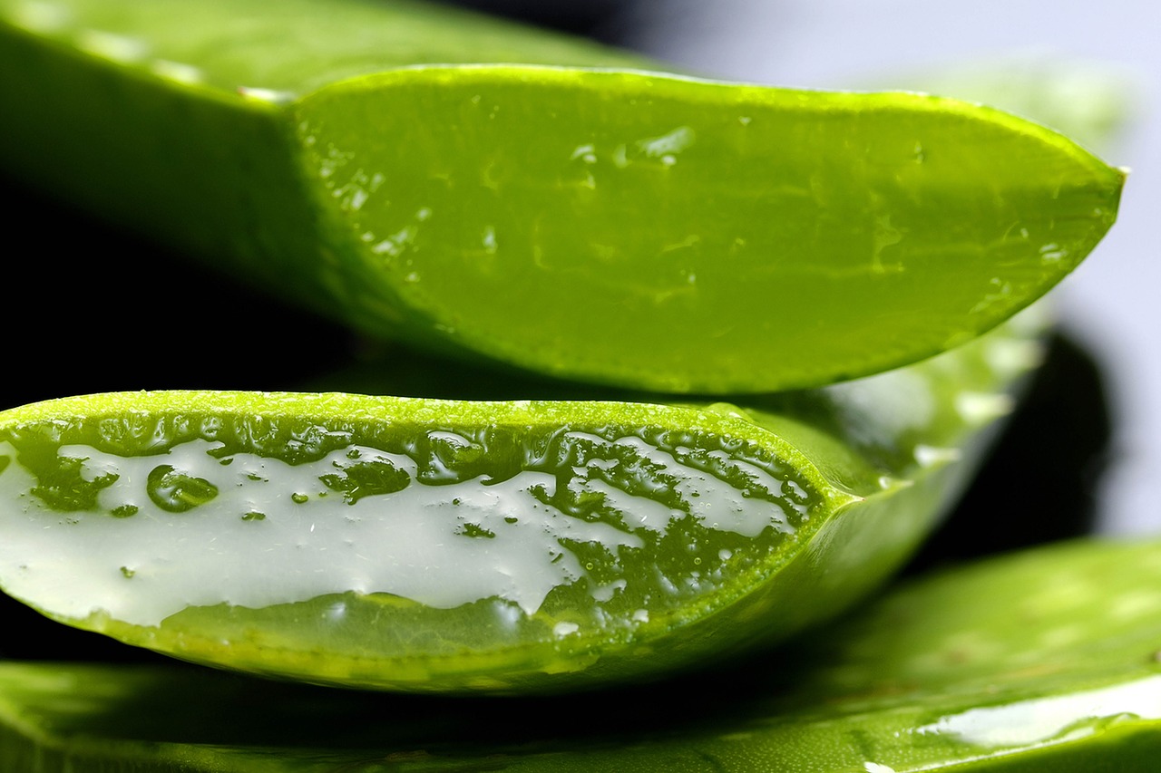 Aloe vera: ottima alleata per dimagrire e depurare l’organismo