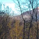 Montalfeo: piccola frazione a due passi da Salice Terme