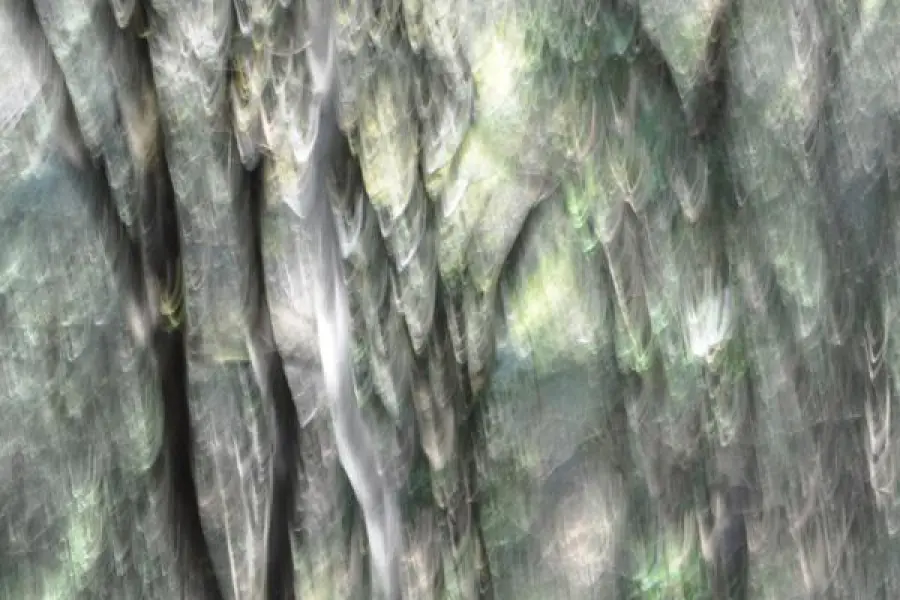 Beba Stoppani torna in Italia con “Il bosco di San Francesco”