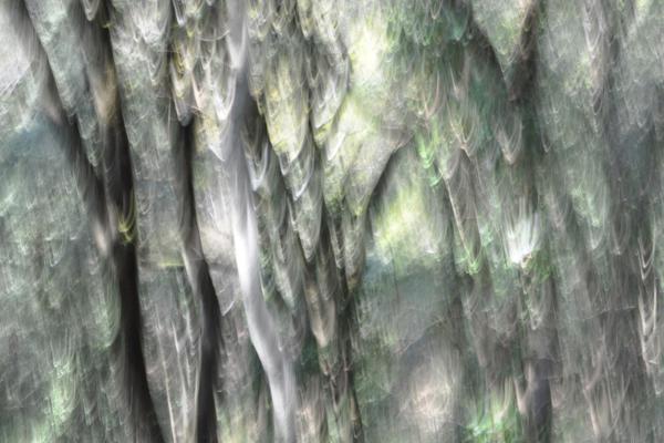 Beba Stoppani torna in Italia con “Il bosco di San Francesco”